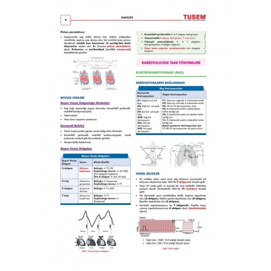 CompacTus Dahiliye Hızlı Tekrar