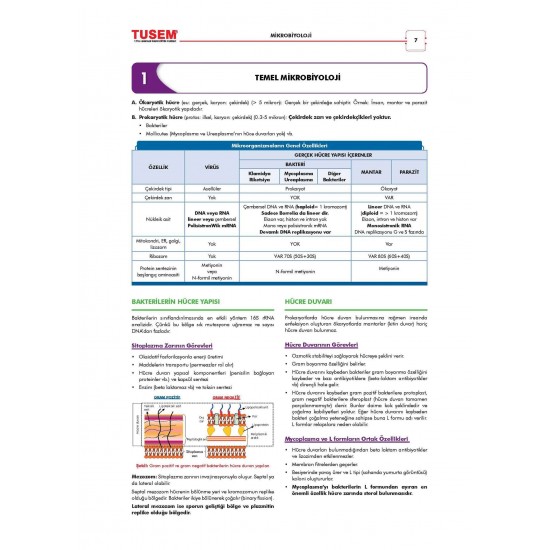 CompacTus Mikrobiyoloji Hızlı Tekrar