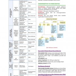 CompacTus Mikrobiyoloji Hızlı Tekrar
