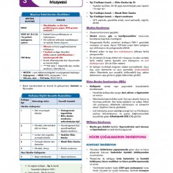 CompacTus Patoloji Hızlı Tekrar