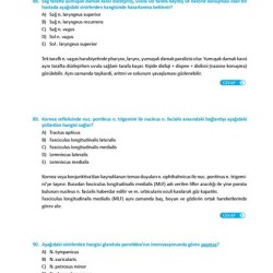 DUS Çalışma Soruları Anatomi