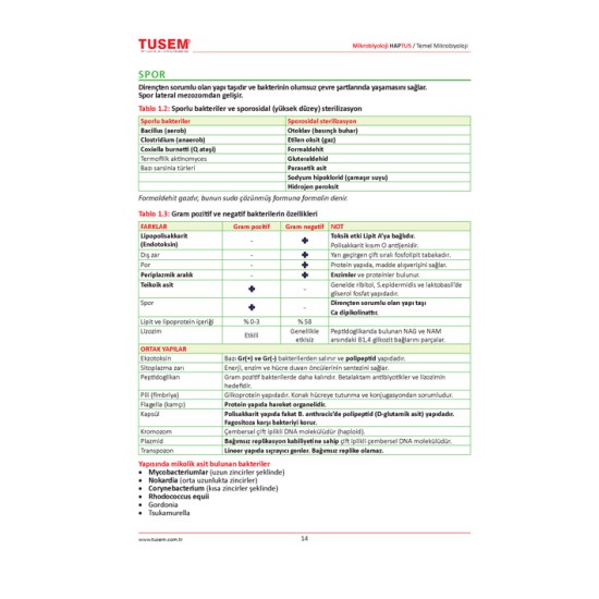 Mikrobiyoloji HAPTUS Spot Bilgiler