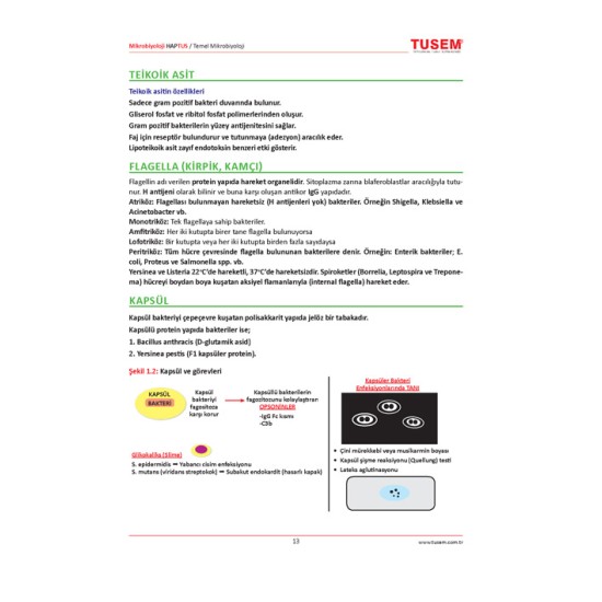 Mikrobiyoloji HAPTUS Spot Bilgiler